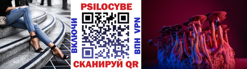 где купить Змеиногорск Псилоцибиновые грибы ЛСД